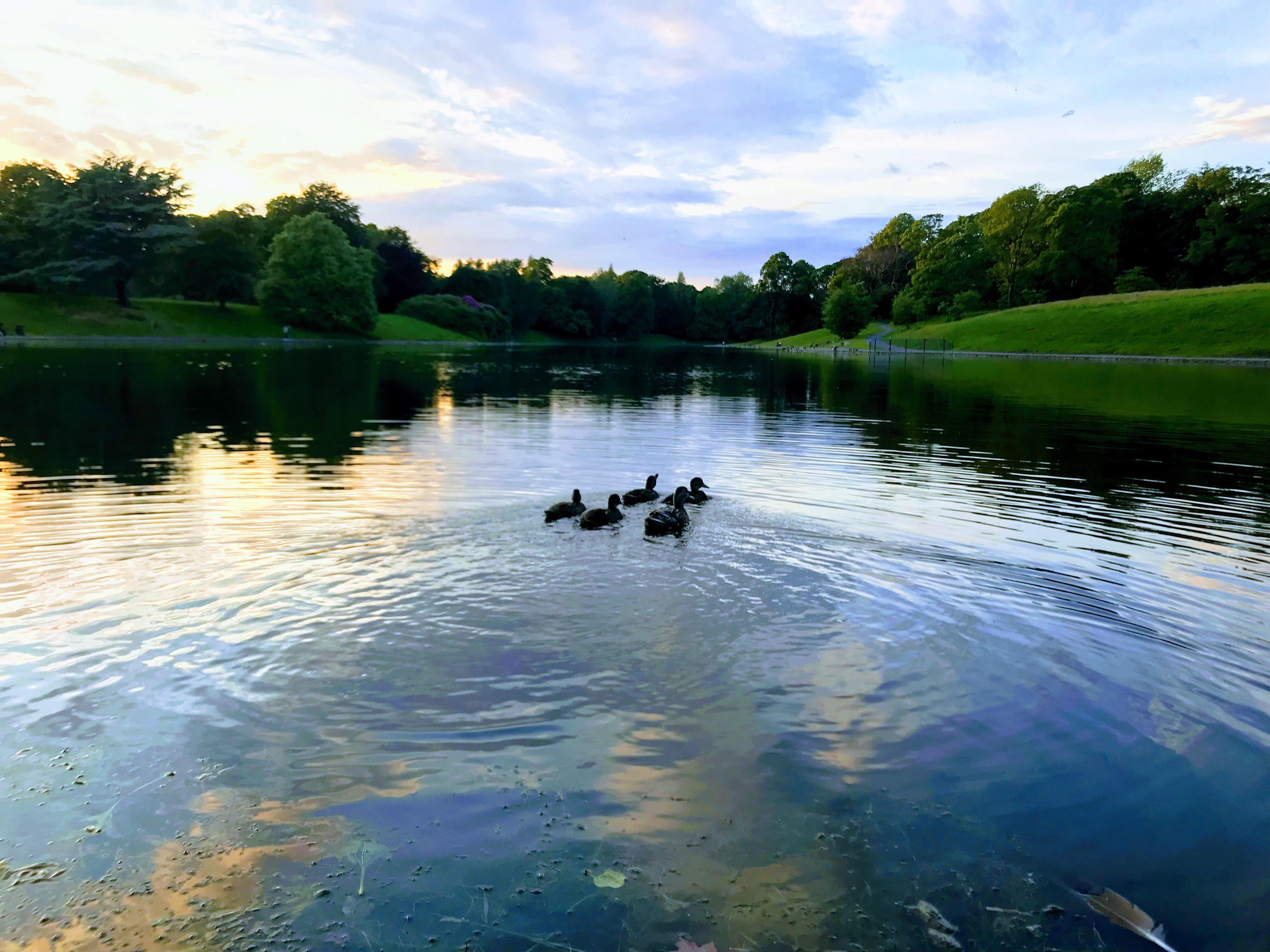 Sefton Park Hotel Ливърпул Екстериор снимка